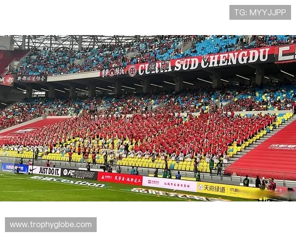 中超双雄争霸格局显现,争冠形势日趋激烈 中超双雄争霸格局显现,争冠形势日趋激烈